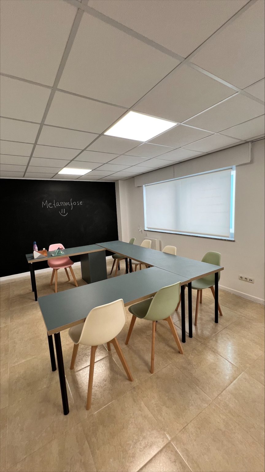 metamorfose-pedagogia-academia (22)
